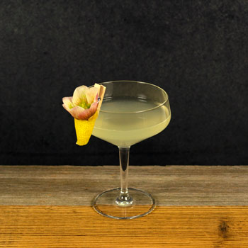 Bild vom White Lady Cocktail
